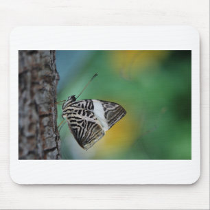 Mousepad Borboleta-Tigre Preta e Branca