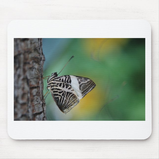 Mousepad Borboleta-Tigre Preta e Branca (Frente)