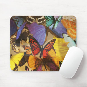 Mousepad borboleta tropical cor de laranja roxa