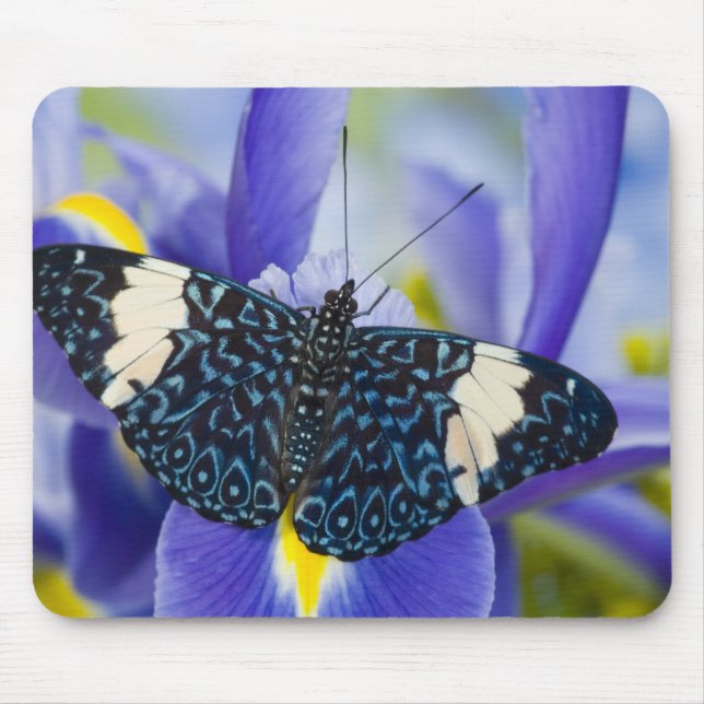Mousepad Borboleta Tropical Roxa Íris (Frente)