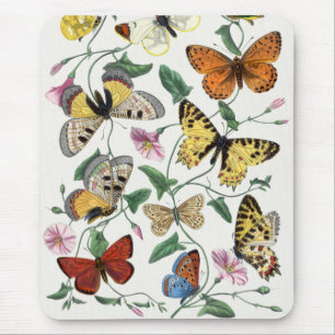 Mousepad Borboleta Vintage e pintura de Mata