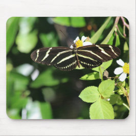 Mousepad Borboleta Zebra Longwing