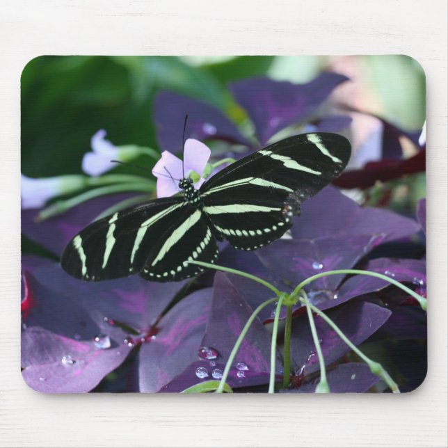 Mousepad Borboleta Zebra Longwing (Frente)
