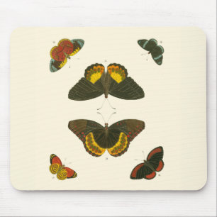 Mousepad Borboletas Brilhantes por Pieter Cramer