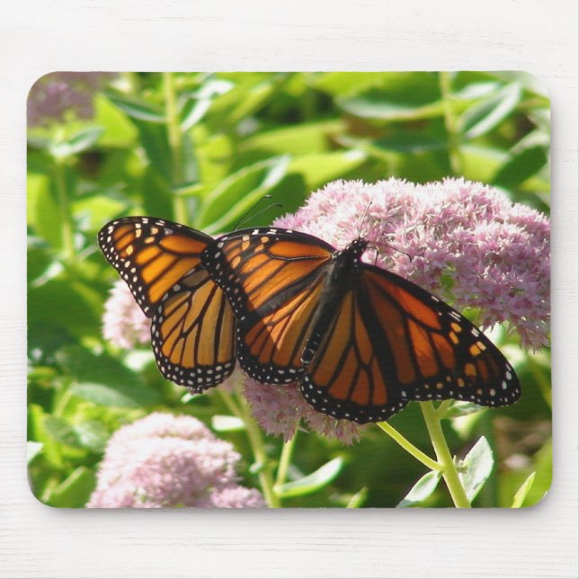 MOUSEPAD BORBOLETAS GÊMEAS (Frente)