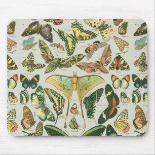 Mousepad Borboletas-Padrão-Vintage Borboletas