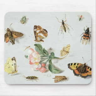 Mousepad Borboletas, traças e outros insetos