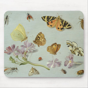 Mousepad Borboletas, traças e outros insetos
