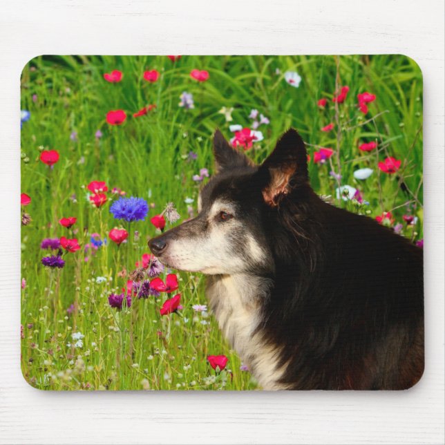 Mousepad Borda Collie com lindas flores (Frente)