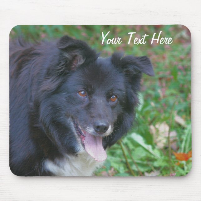 Mousepad Borda Collie Sorrindo Um Bloco De Caninos Cortado (Frente)
