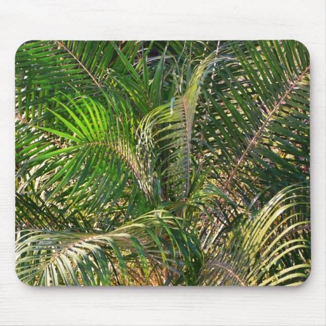 Mousepad Bordas Tropicais de Palm Lit Sunset (Frente)