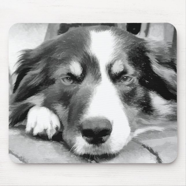 MOUSEPAD BORDER COLLIE (Frente)