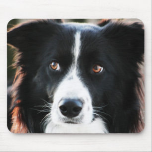 Mousepad Border collie