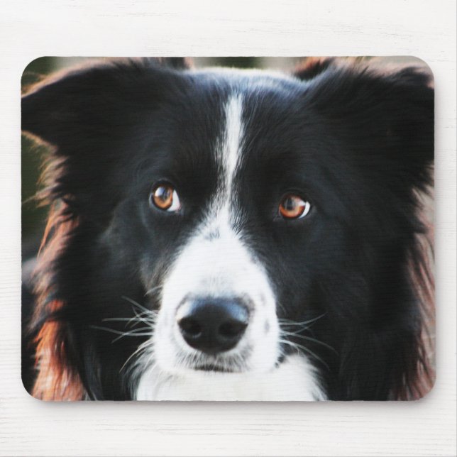 Mousepad Border collie (Frente)