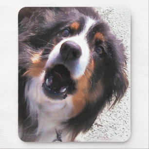 MOUSEPAD BORDER COLLIE