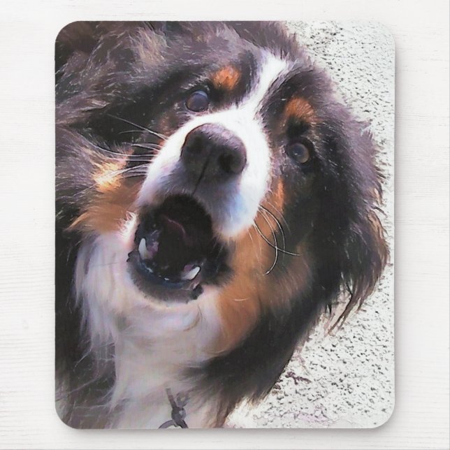 MOUSEPAD BORDER COLLIE (Frente)