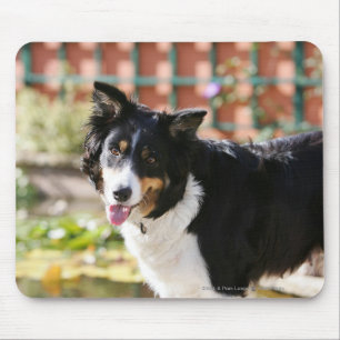 Mousepad Border collie que arfa 1