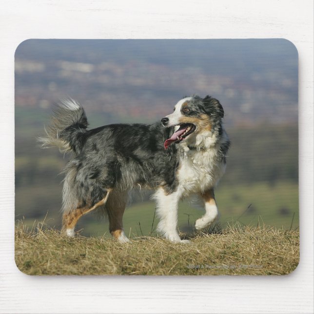 Mousepad Border collie que arfa 2 (Frente)