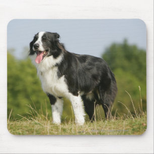 Mousepad Border collie que arfa estar