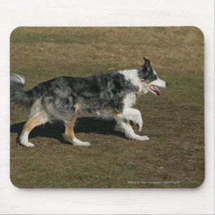 Mousepad Border collie que funciona 1