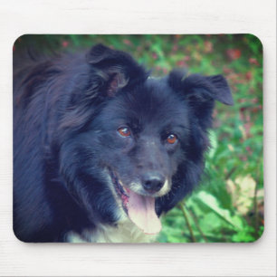Mousepad Border Collie Smiling