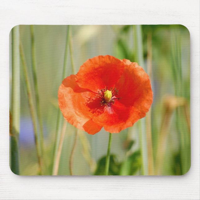 Mousepad Bordo de campo de um campo de milho com papoilas v (Frente)