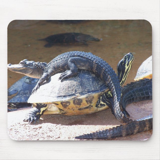 Mousepad Borla (Frente)