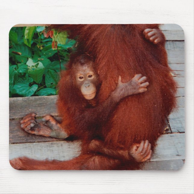Mousepad Borneo orangutan (Frente)