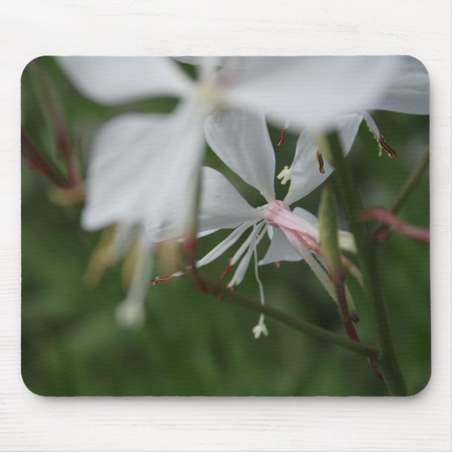Mousepad Borrão da Manhã - Fotografia Floral (Frente)