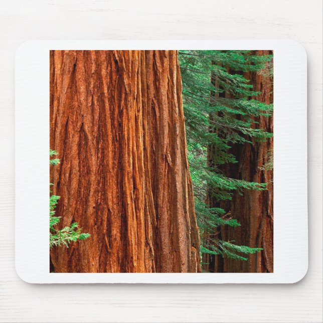 Mousepad Bosque Yosemite de Mariposa da sequóia gigante das (Frente)