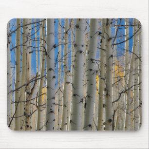 Mousepad Bosques de Álamo Montanhas Rochosas do Colorado