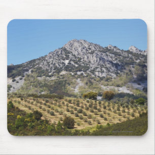 Mousepad Bosques verde-oliva