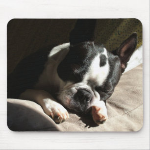 Mousepad Boston sonolento