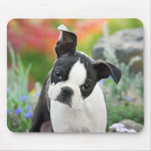 Mousepad Boston Terrier Dog Cute Puppy Animal Head Photo