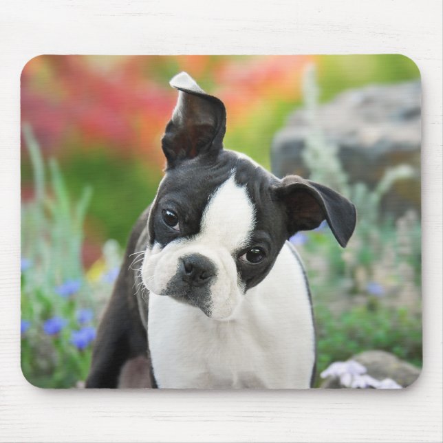Mousepad Boston Terrier Dog Cute Puppy Animal Head Photo (Frente)