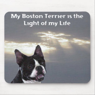 Mousepad Boston Terrier:  Luz de minha vida