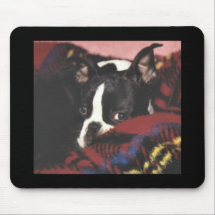 Mousepad Boston Terrier:  Peekaboo