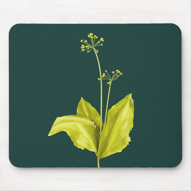 Mousepad Botânica Natural da Planta Verde do Alho Selvagem (Frente)