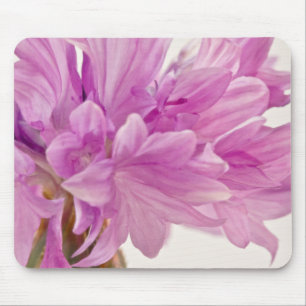 Mousepad Botão Batchelor