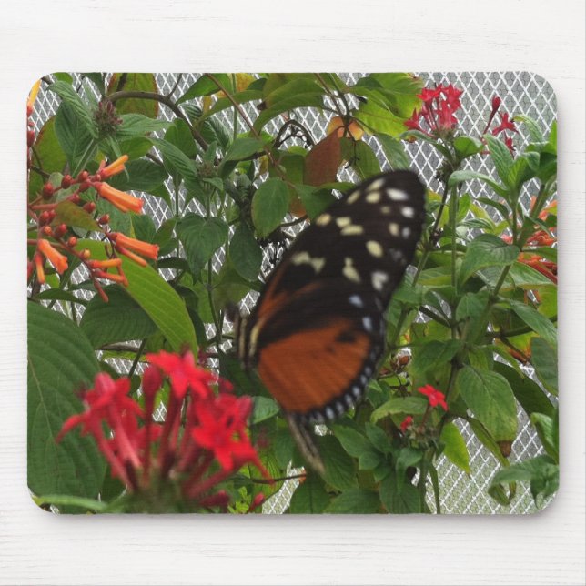 MOUSEPAD BOTÃO LARANJA (Frente)
