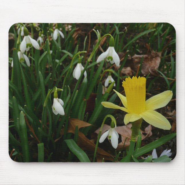 Mousepad Botas de neve e Daffodil Primavera Floral (Frente)