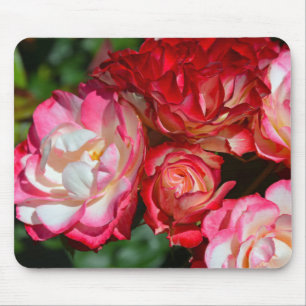 Mousepad Botões de rosa rosa