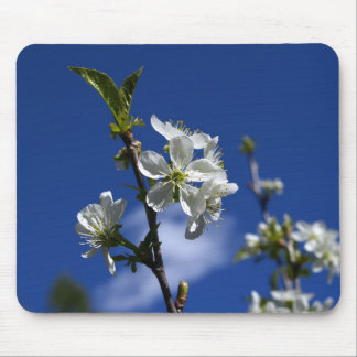 Mousepad Botões do primavera