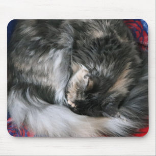 Mousepad Bouge Kitty Cat