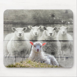 Mousepad Bovinos