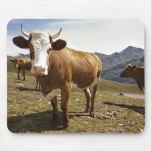 Mousepad Bovinos