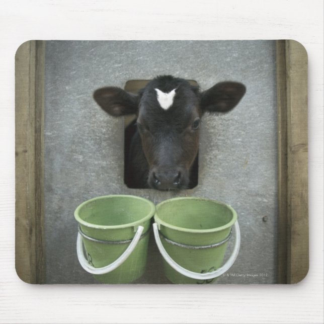 Mousepad Bovinos, Caneta individual (Frente)