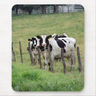 Mousepad Bovinos leiteiros