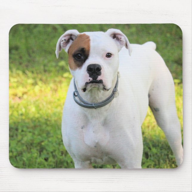 Mousepad Boxer (Frente)