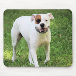 Mousepad Boxer